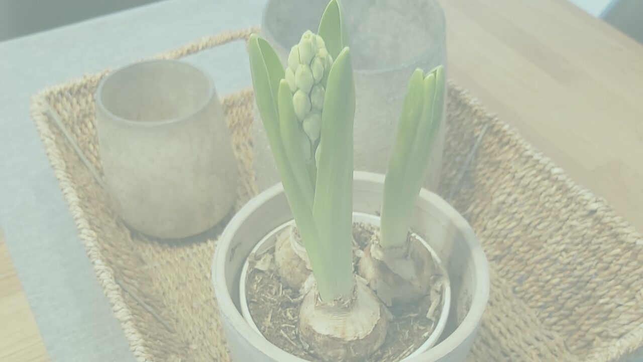 12 von 12 im Januar 2026